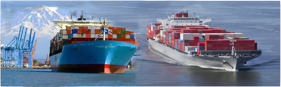 Logistics Cargo services India
